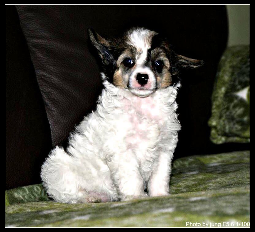 Cherry Mana's Secret's