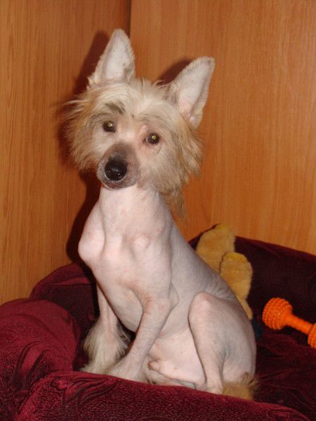 Kventin Black of Channel