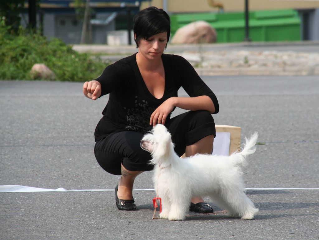 Kuutarhan Lumitähti