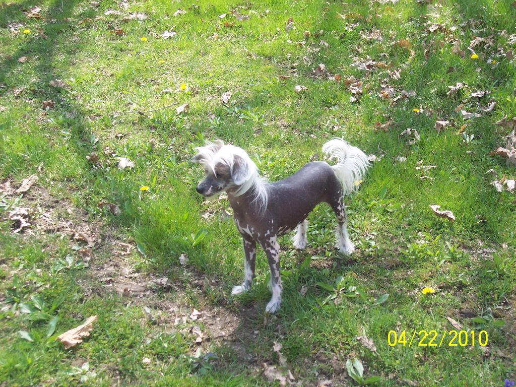 Churchills Let "Freedom" Ring K