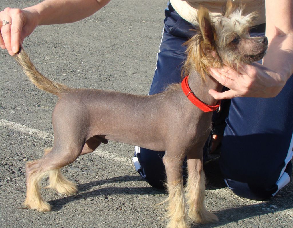 Kristal Yaniry   Litttle Paradise