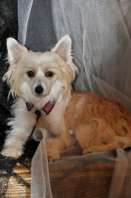 Cacharel Noa Gattaca