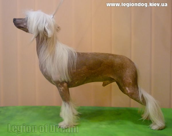 Subway Extra Jeez Horton