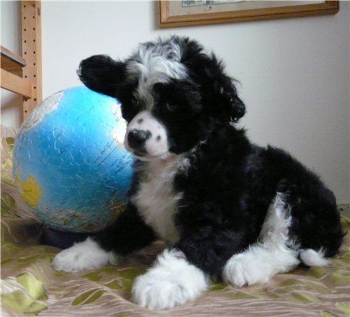 Subway Enchanting Emigrant