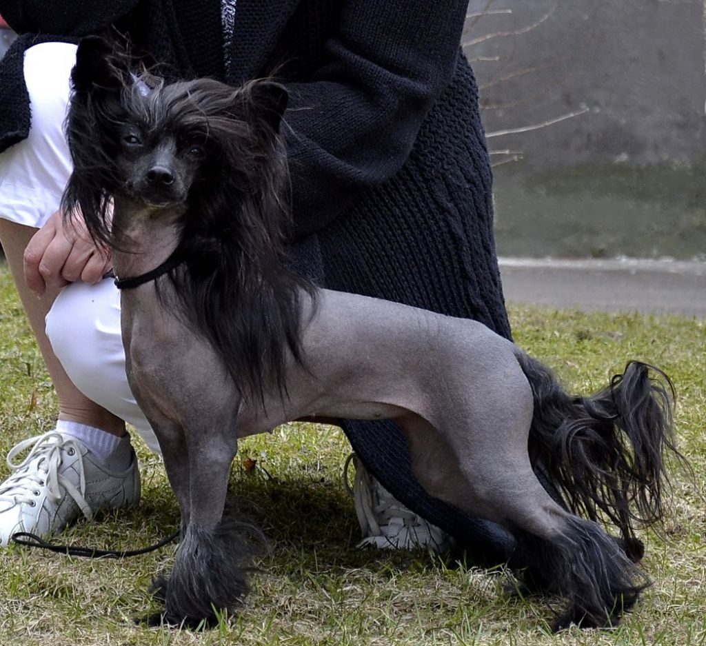 Tai Bent Annie Dieu-Le-Veut