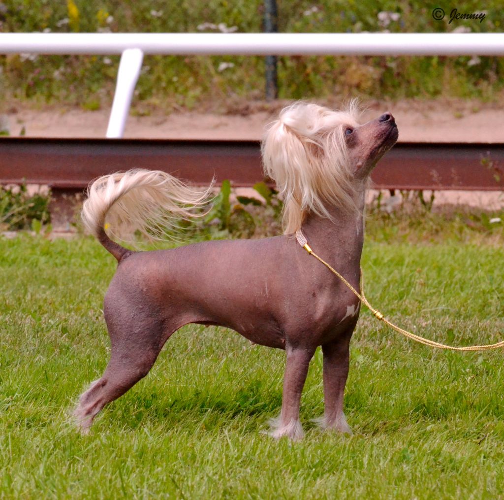 Tuuskannuusan And Justice For All