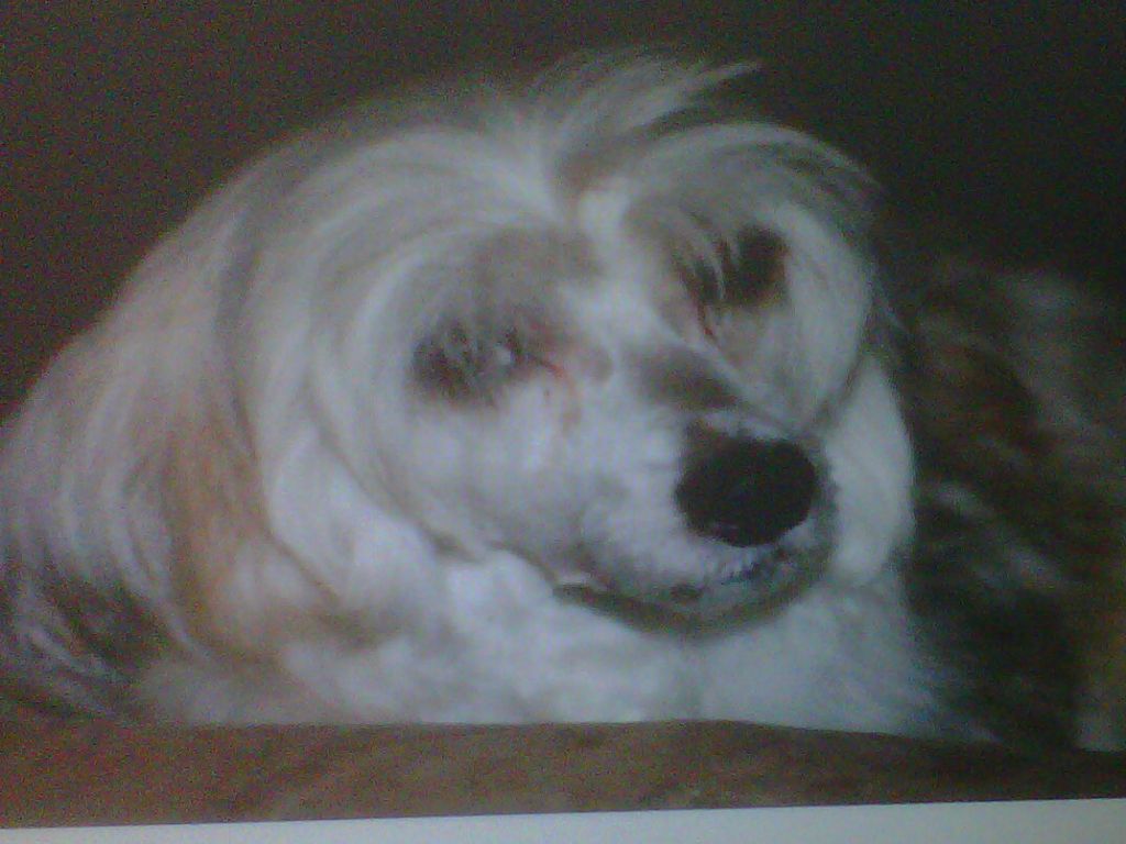 Kiraf Coco Toffee Crisp