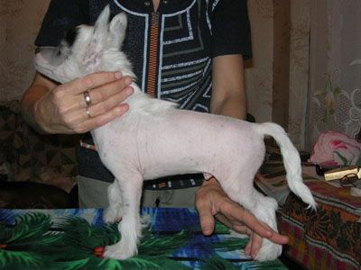 Rovanni Djekattolo Otis Mi Xart 