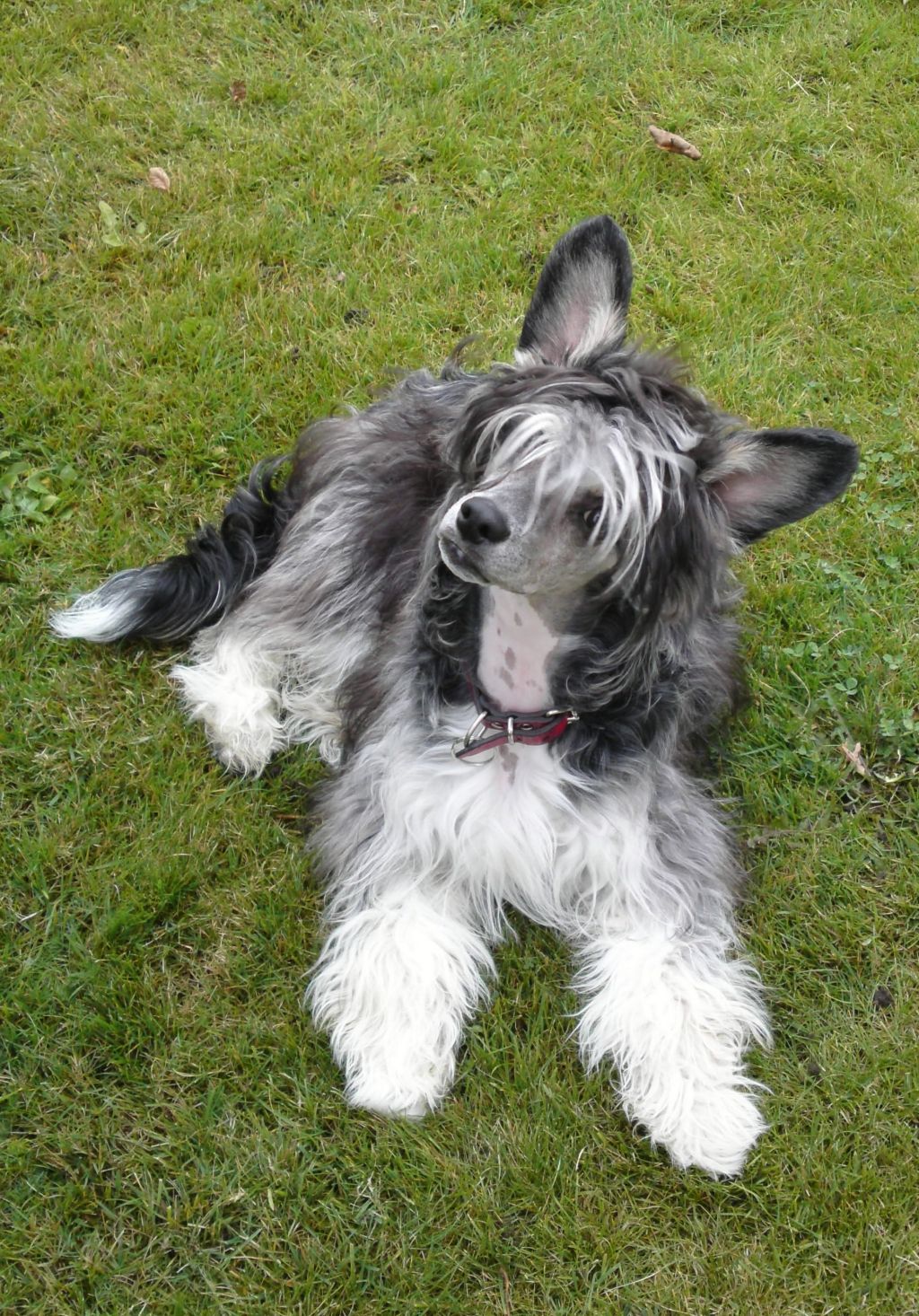 Ridgecrest's No Money No Honey