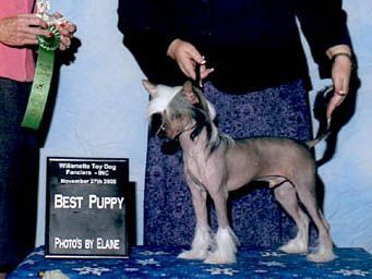 Avalons Fear Is Not A Factor