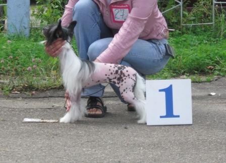 Vellar Pljus Afrodita