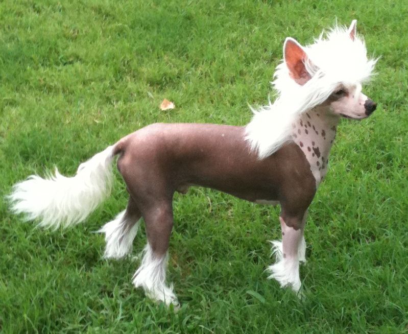 Hi-Life's Sirius Dr. Hooley