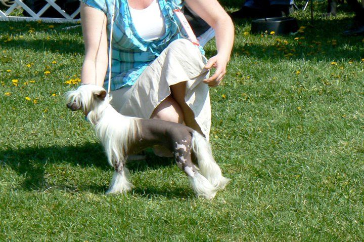 Chanel Be My Magic Harmony