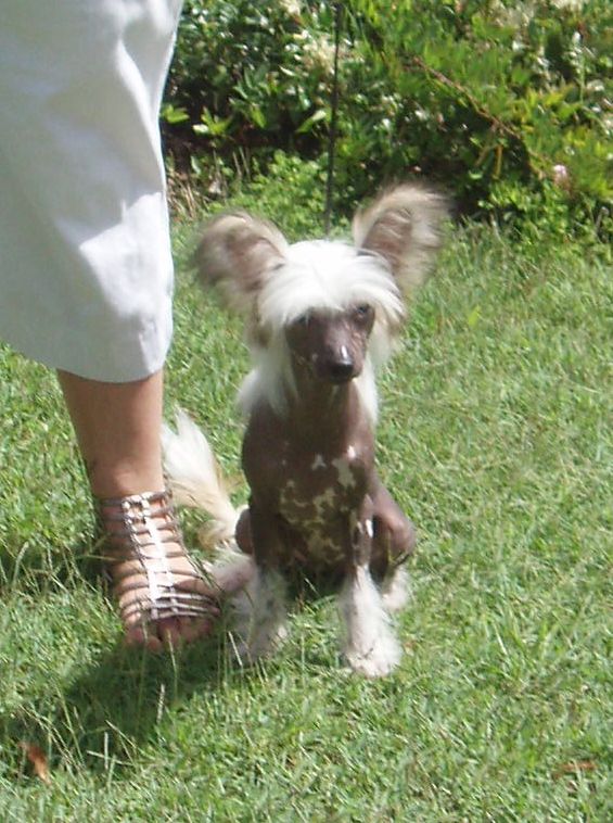 Lakenta Charism On The Snow