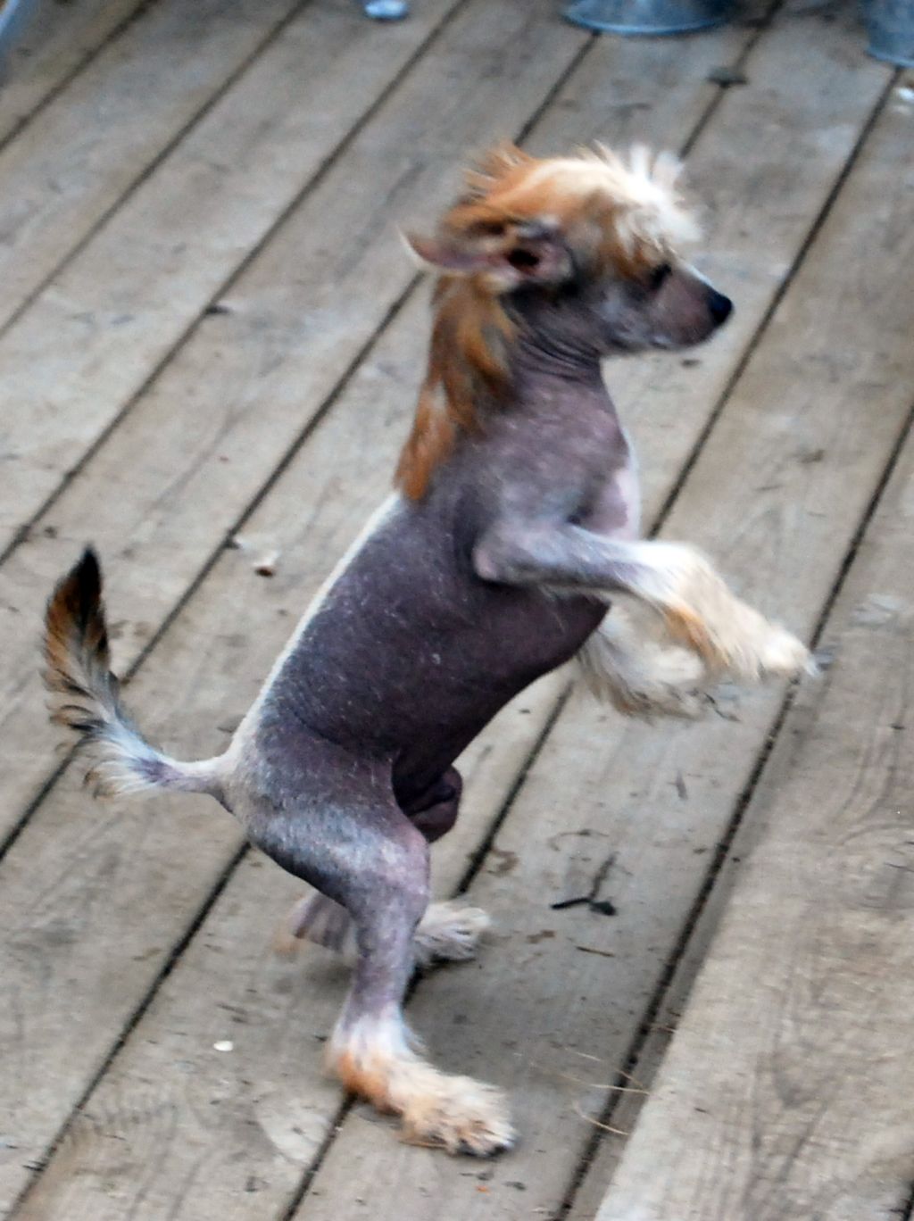 Cool Crowd's Gorgeous James Hurley