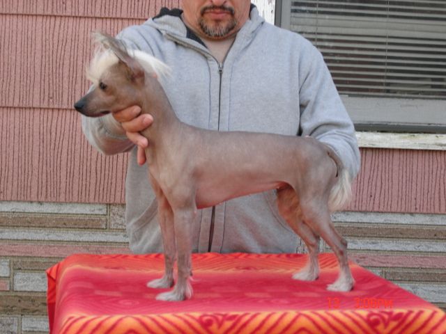 Hi-Life Sirius I Kissed a Girl