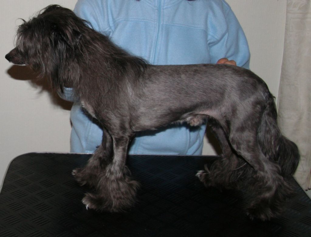 Absolute Souls Eclipse