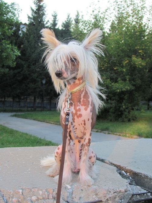 Serafima Zhemchuzhina