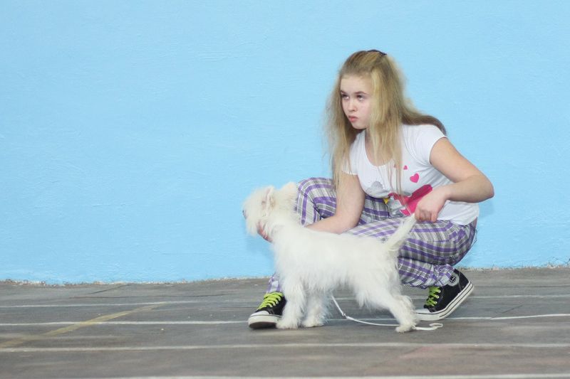  Yalika Ocharovanie Luni