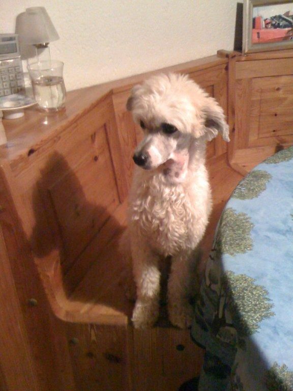 Quicksilver Fantasy Island