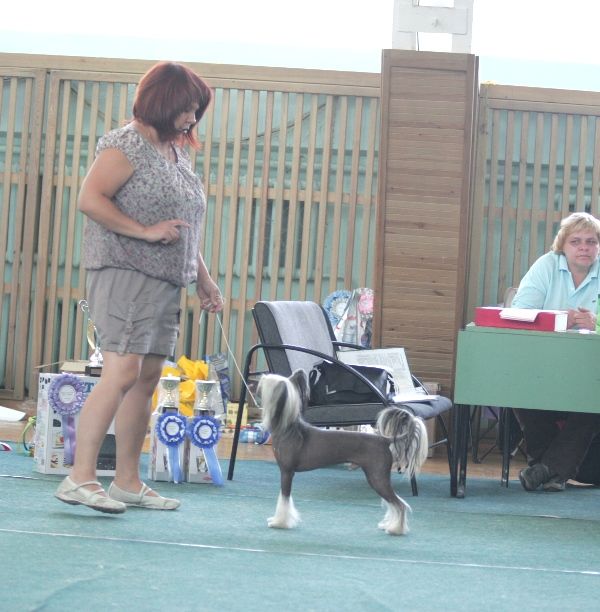 Alfa Laval Get in the Ring