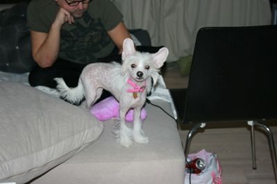 Emilie Falla Of The Kanis