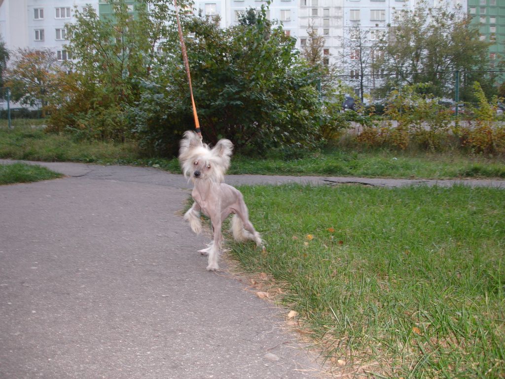 Rouber Balt Ornelija Li