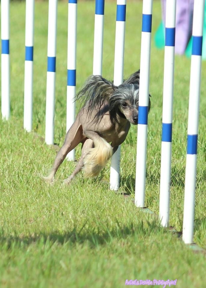 Envy MTO N' Wickhaven Everything Always Now