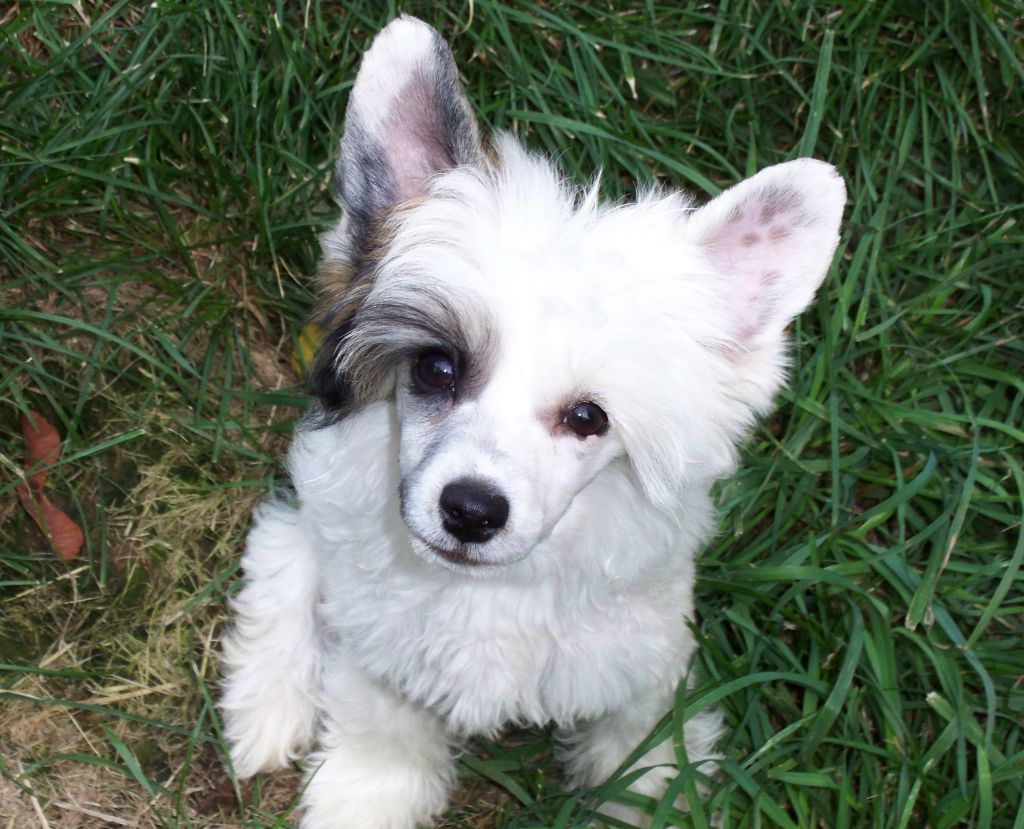 Wickhaven- MTO The Business Of Love