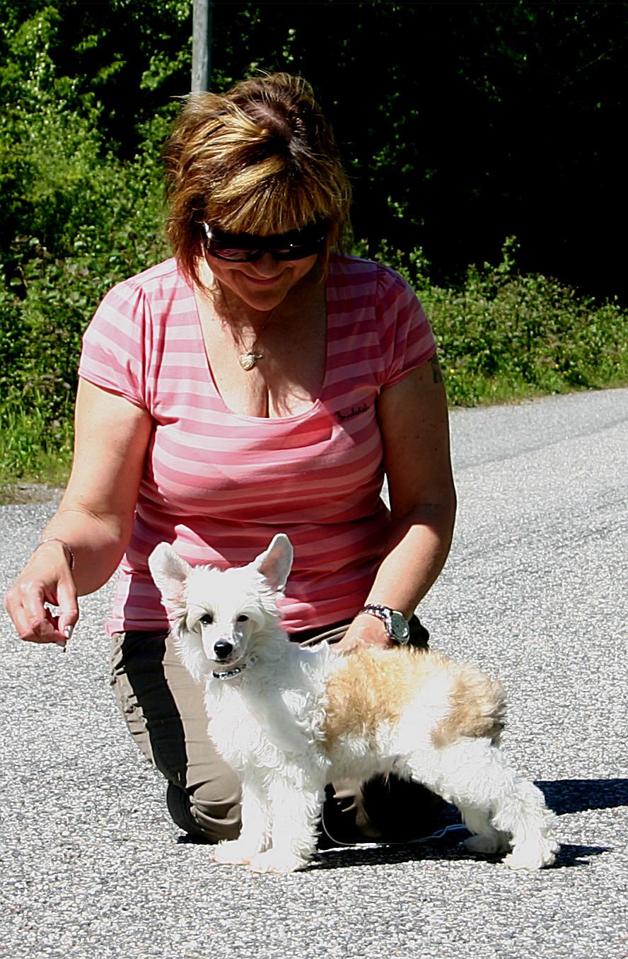 Twice as Nice The Heat Is On