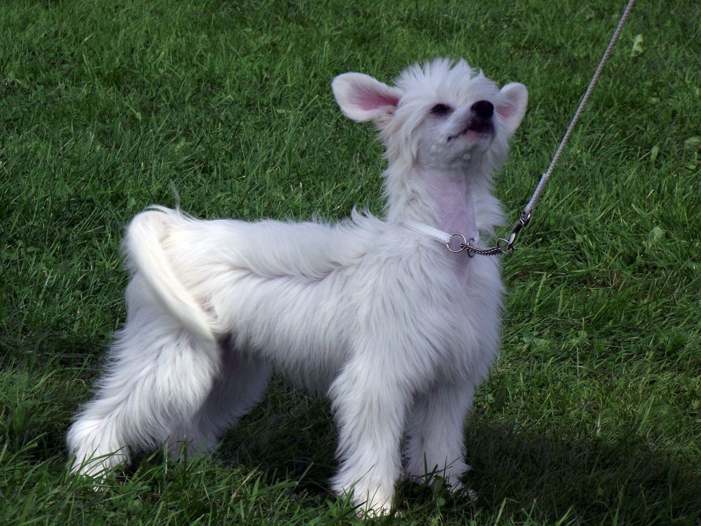 Sea Fire's  Only Believe