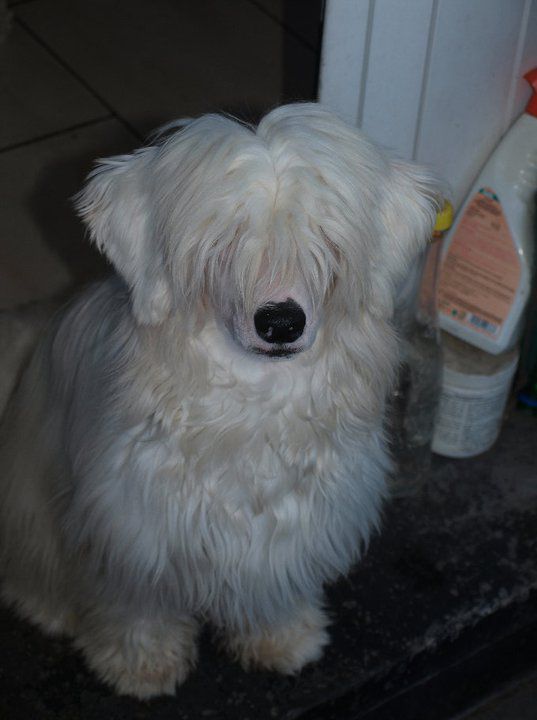 Thomas l'Enfant Terrible