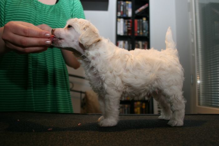 Three Cheers for Heroes Made Here