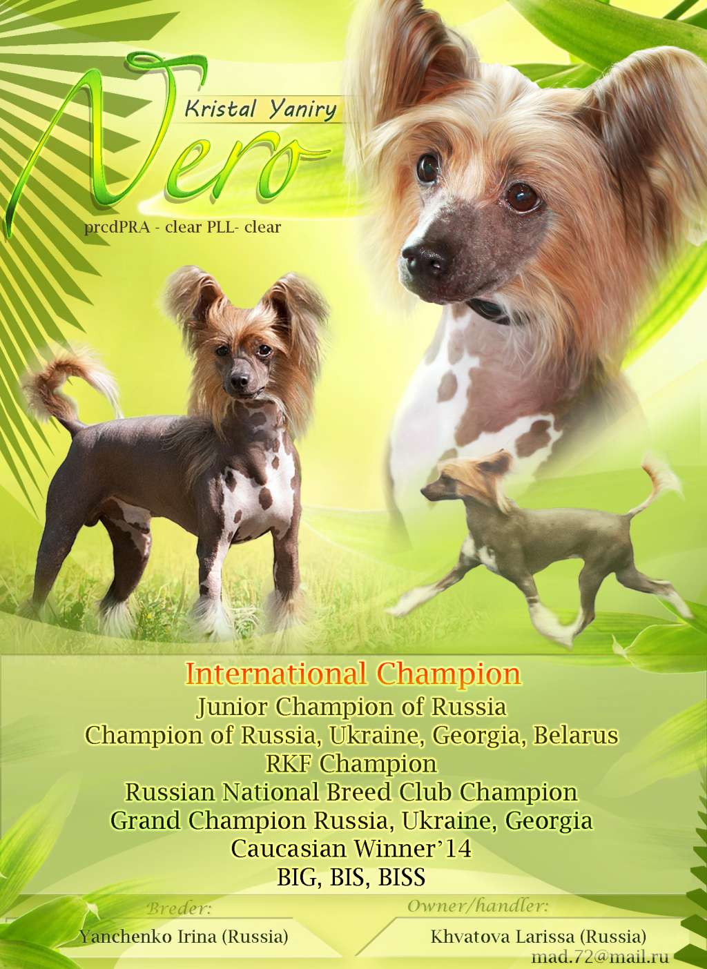 Kristal Yaniry   Nero