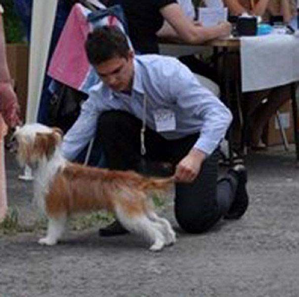 Kristal Yaniry   Nelson