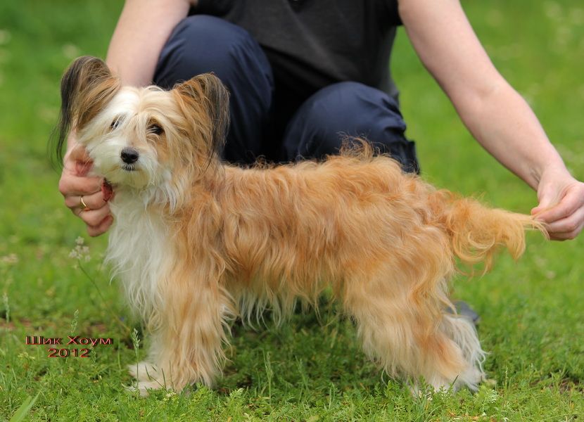 Kristal Yaniry   Navarra