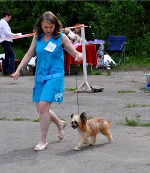 Kristal Yaniry   Nikita