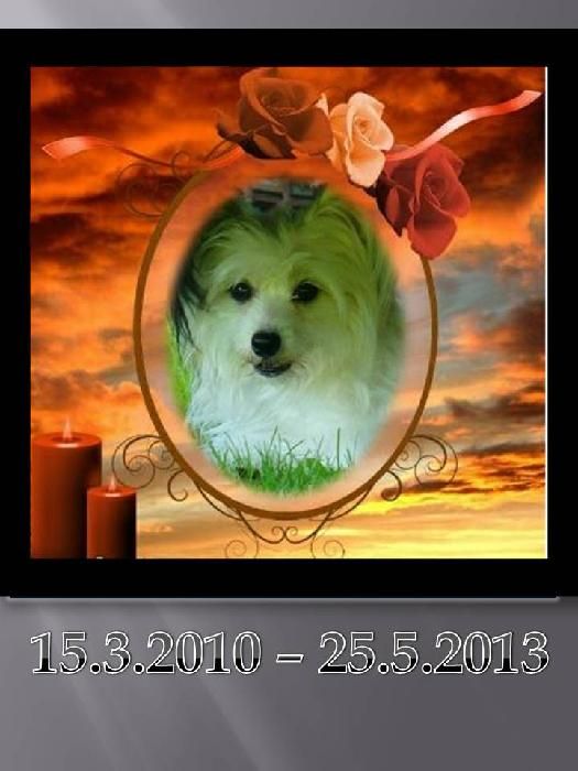 B' Mystic-sharm Ar Arenis Marri