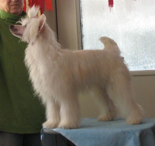 Lohamras Oboy Dunder Ohoj