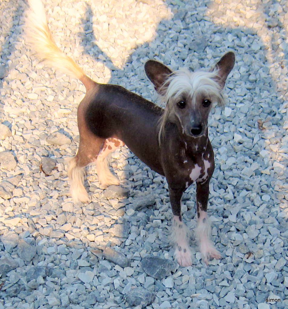 MTO-Windcrest N' Wickhaven Kiss Me Kate