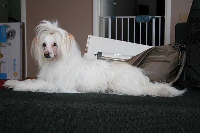 Windy Evening Bloody Mary