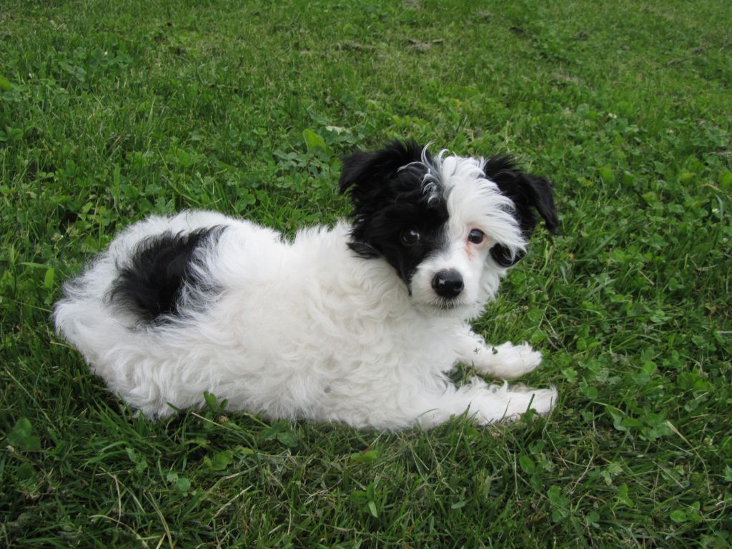 Windy Evening Blue Lagoon