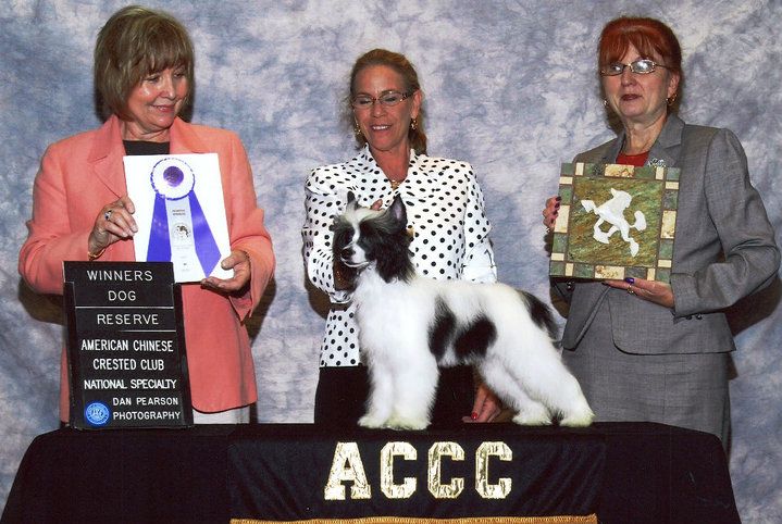 Cabaret's You Crack Me Up!