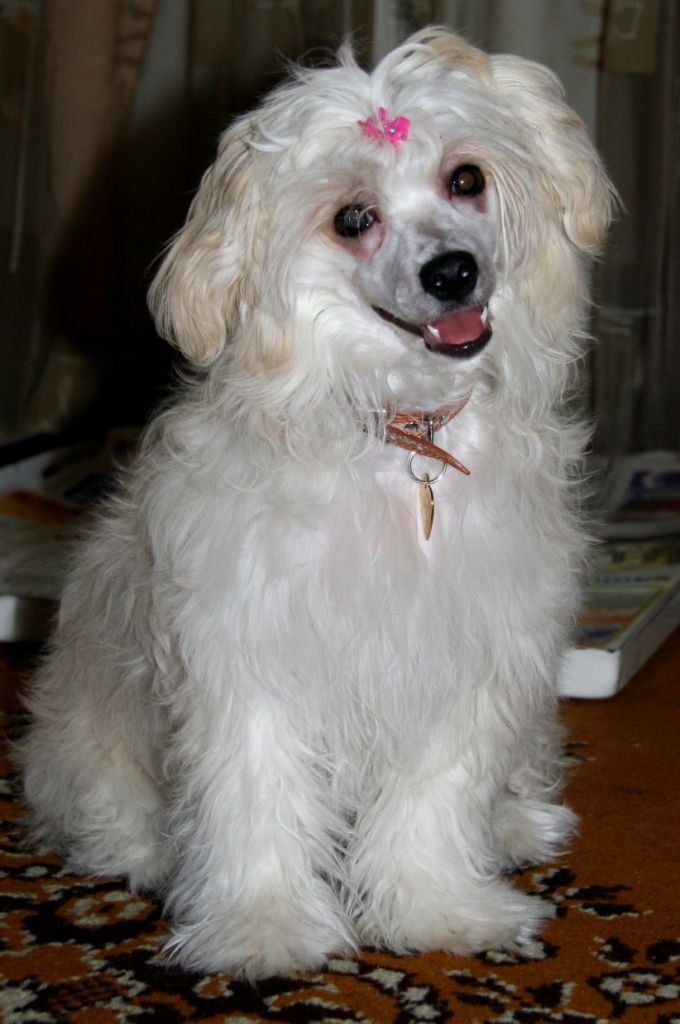 Beaty Stren Fanni Co Co