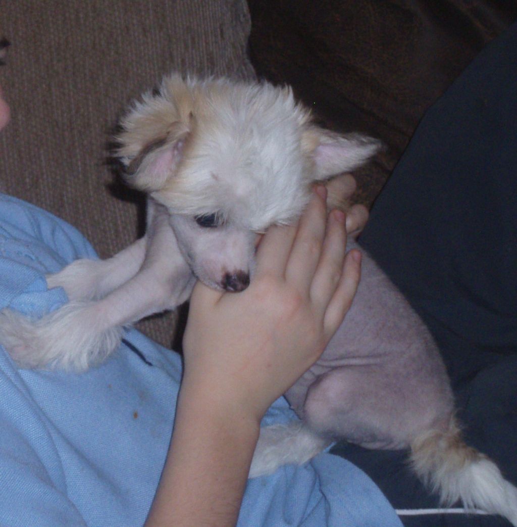 Souldrop's Seventh Heavan