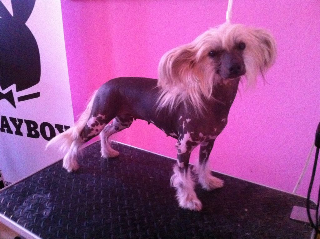 Thunder and Lightnings Flip-Flop