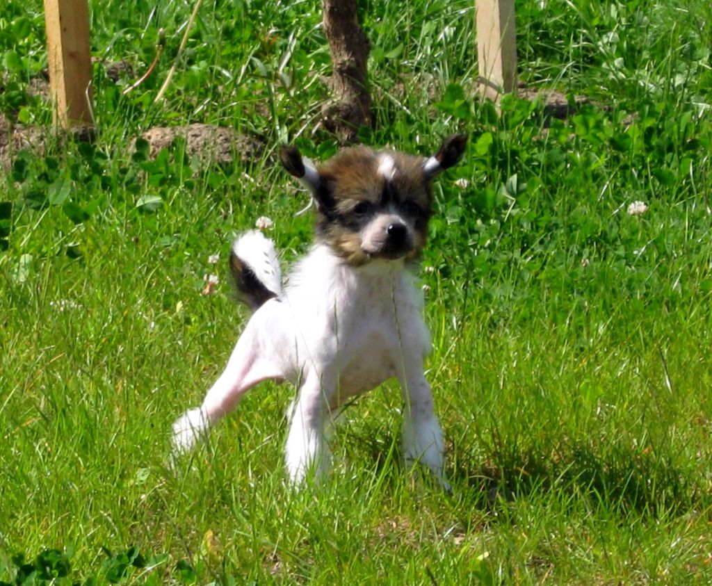 Melanies Rerity Eladzha Leo.