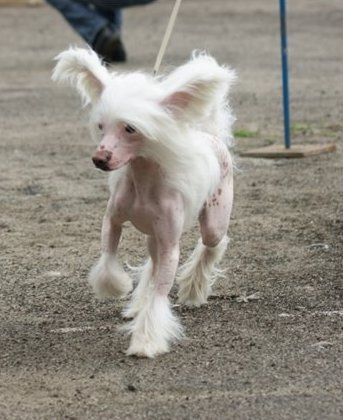 Armani Sharm Yurden Boy (Den)