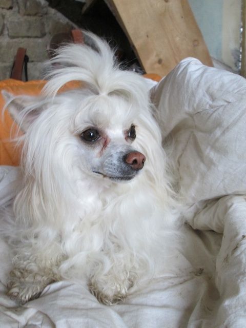 Final Fantasy du Coeur des Tenebres