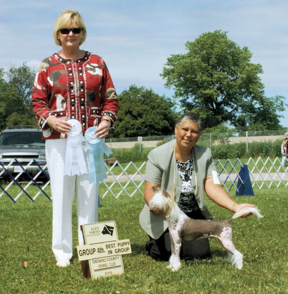 Altair's The Dark is Rising